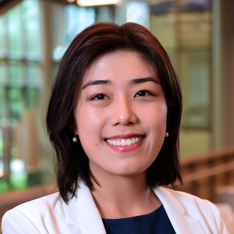 Portrait of Cheng Wang